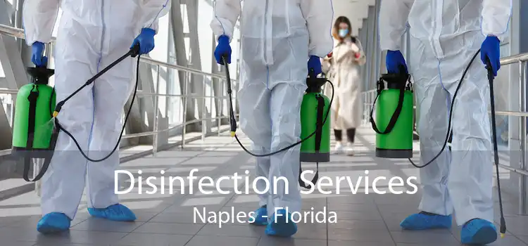 Disinfection Services Naples - Florida