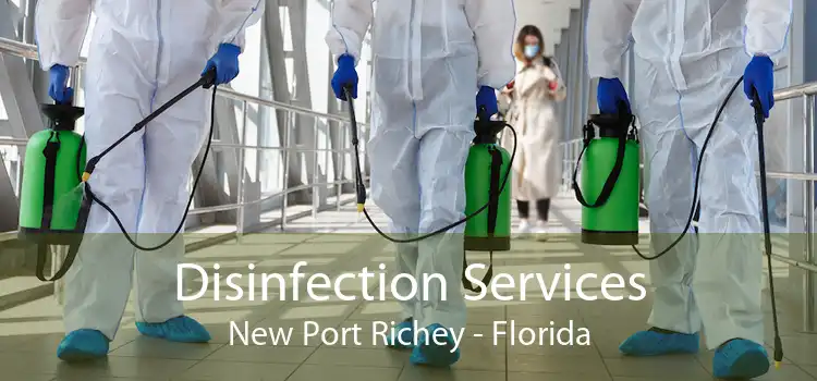 Disinfection Services New Port Richey - Florida