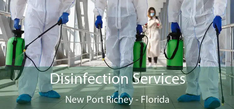 Disinfection Services New Port Richey - Florida