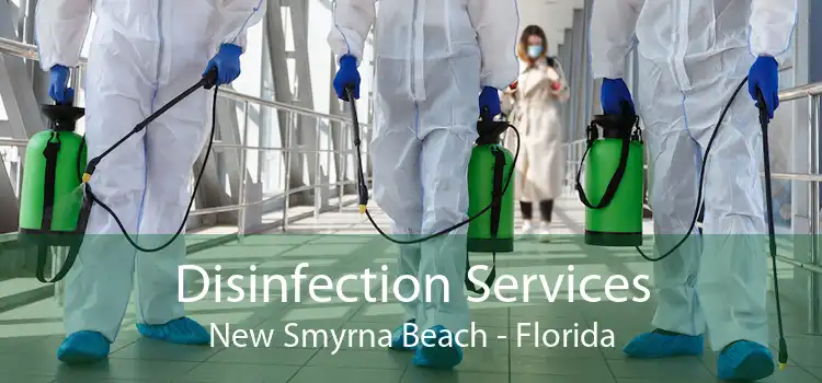 Disinfection Services New Smyrna Beach - Florida