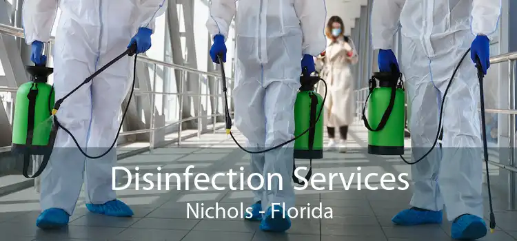 Disinfection Services Nichols - Florida