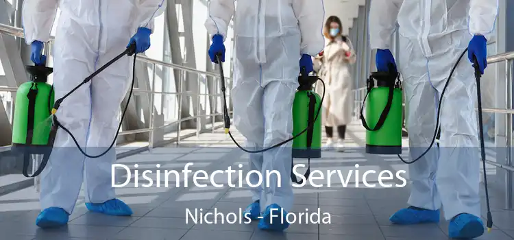 Disinfection Services Nichols - Florida