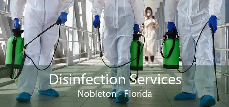 Disinfection Services Nobleton - Florida