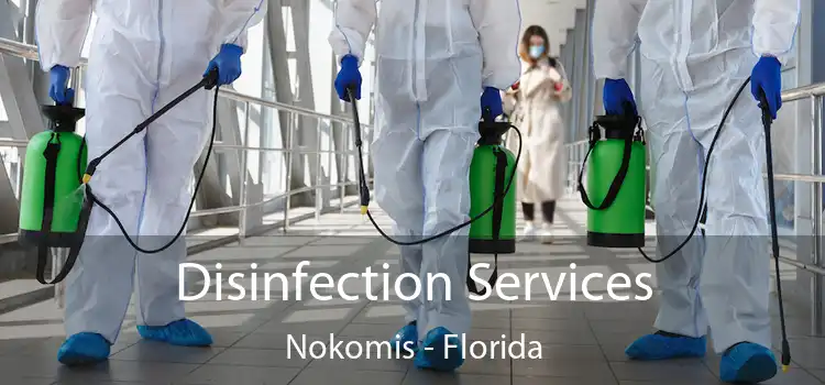 Disinfection Services Nokomis - Florida