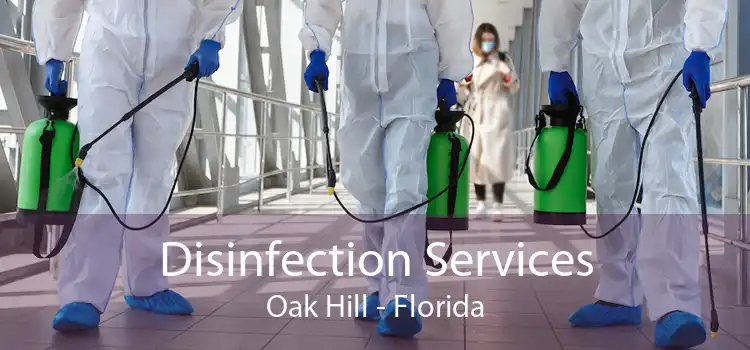 Disinfection Services Oak Hill - Florida