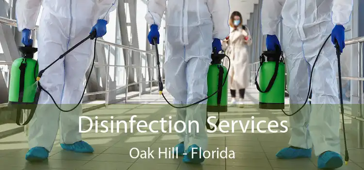 Disinfection Services Oak Hill - Florida