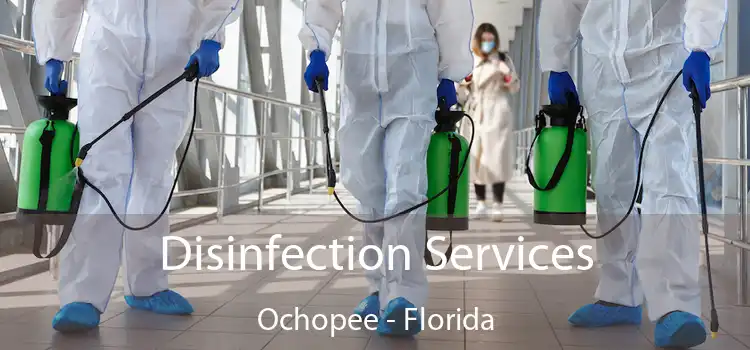 Disinfection Services Ochopee - Florida