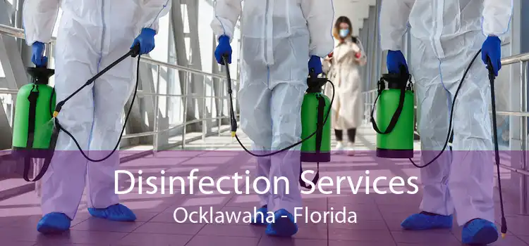 Disinfection Services Ocklawaha - Florida