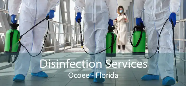 Disinfection Services Ocoee - Florida