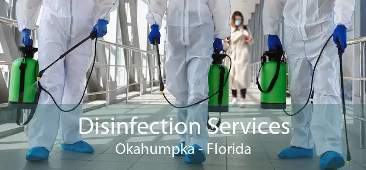 Disinfection Services Okahumpka - Florida