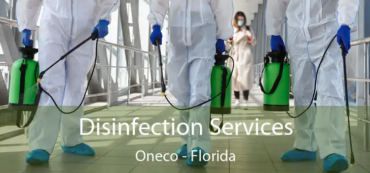 Disinfection Services Oneco - Florida