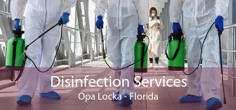 Disinfection Services Opa Locka - Florida