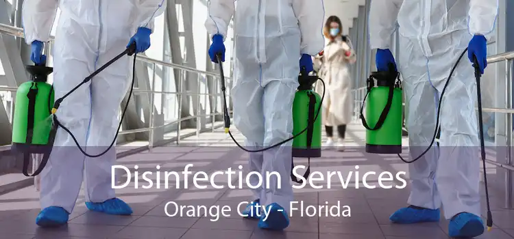 Disinfection Services Orange City - Florida