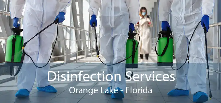 Disinfection Services Orange Lake - Florida