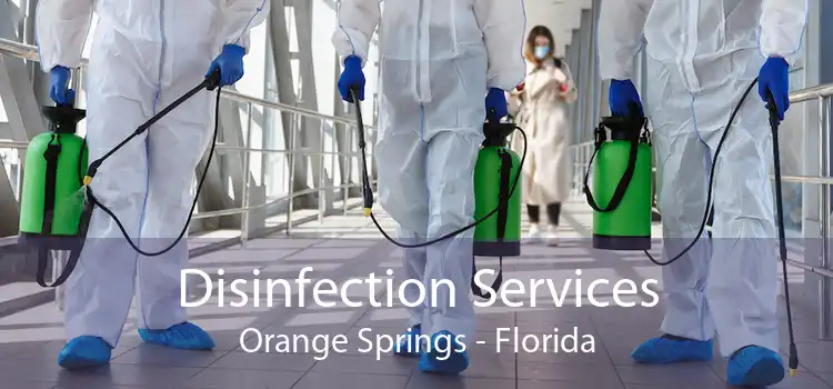 Disinfection Services Orange Springs - Florida