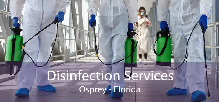 Disinfection Services Osprey - Florida