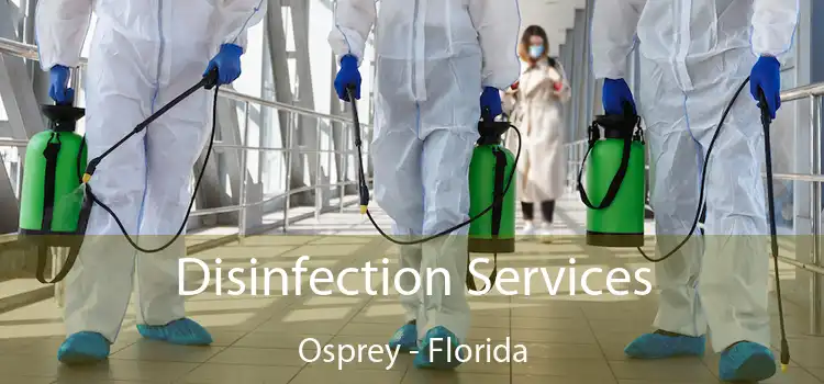 Disinfection Services Osprey - Florida