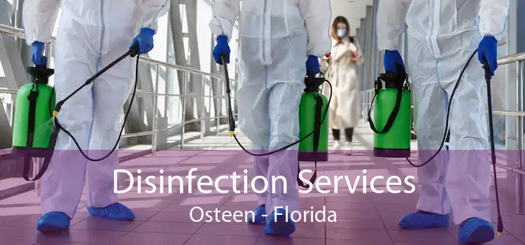 Disinfection Services Osteen - Florida