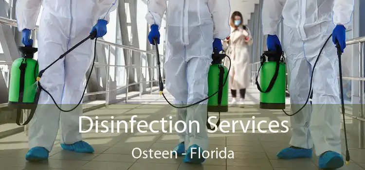 Disinfection Services Osteen - Florida