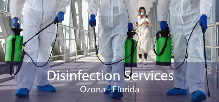 Disinfection Services Ozona - Florida