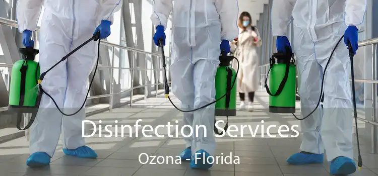 Disinfection Services Ozona - Florida