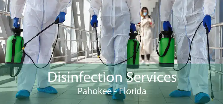 Disinfection Services Pahokee - Florida