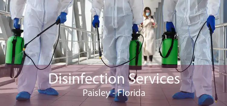 Disinfection Services Paisley - Florida