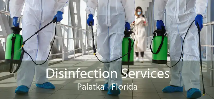 Disinfection Services Palatka - Florida