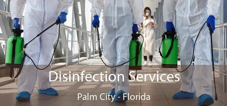 Disinfection Services Palm City - Florida