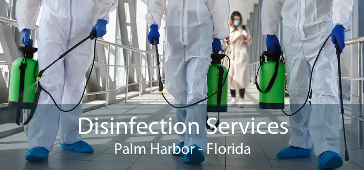 Disinfection Services Palm Harbor - Florida