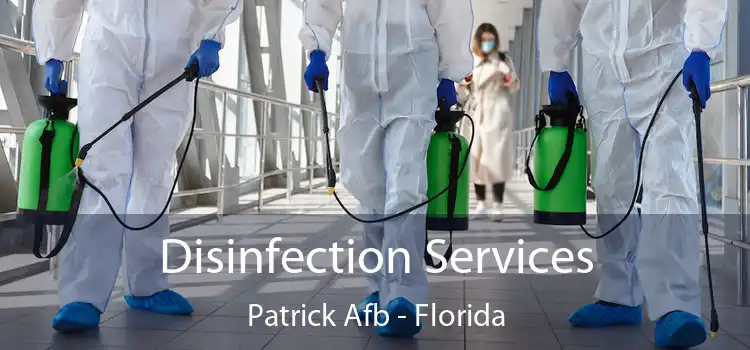 Disinfection Services Patrick Afb - Florida