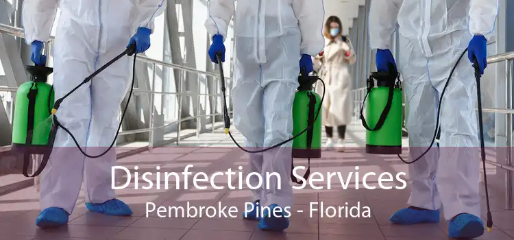 Disinfection Services Pembroke Pines - Florida