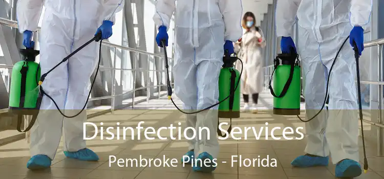 Disinfection Services Pembroke Pines - Florida