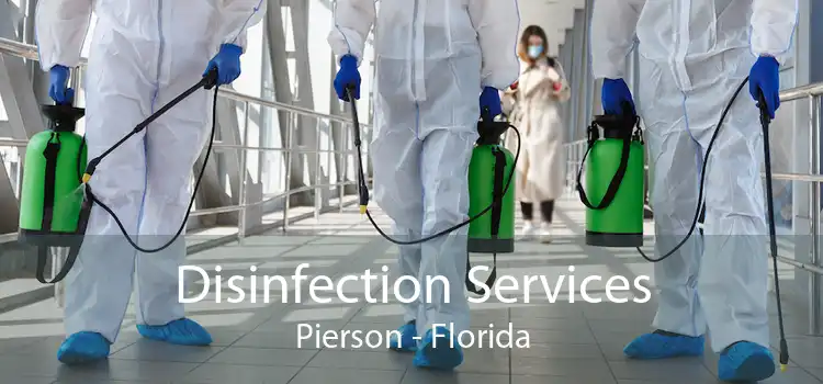 Disinfection Services Pierson - Florida