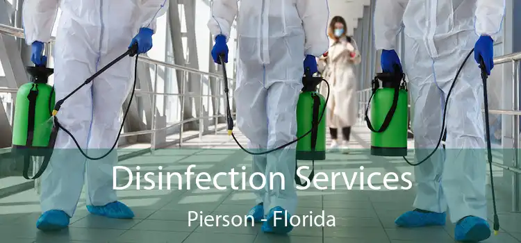 Disinfection Services Pierson - Florida