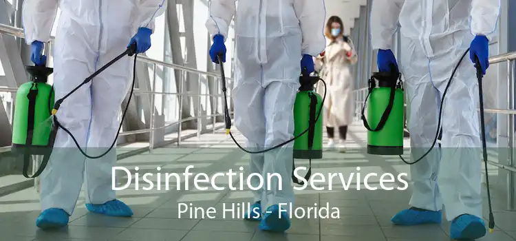 Disinfection Services Pine Hills - Florida