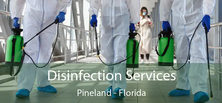 Disinfection Services Pineland - Florida