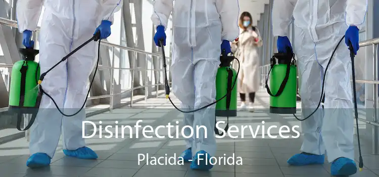 Disinfection Services Placida - Florida