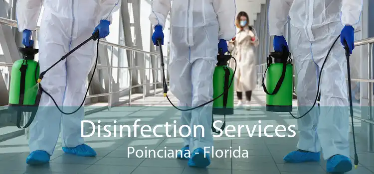 Disinfection Services Poinciana - Florida
