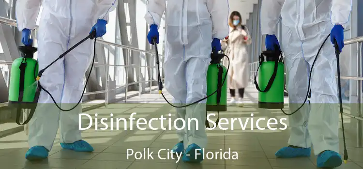 Disinfection Services Polk City - Florida