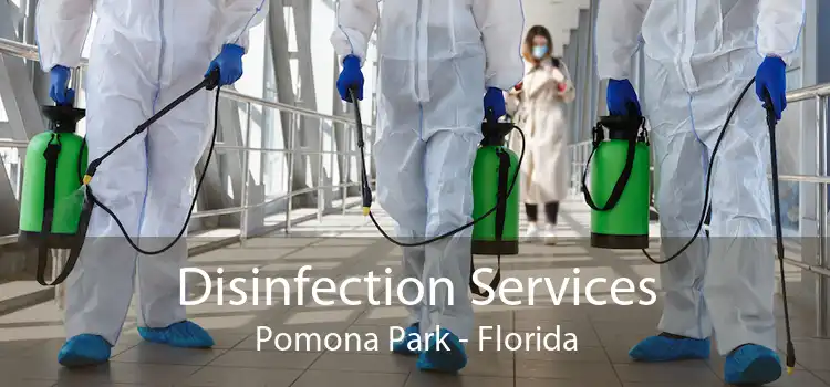 Disinfection Services Pomona Park - Florida