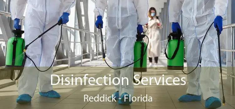 Disinfection Services Reddick - Florida