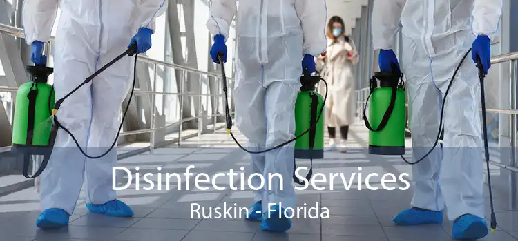Disinfection Services Ruskin - Florida