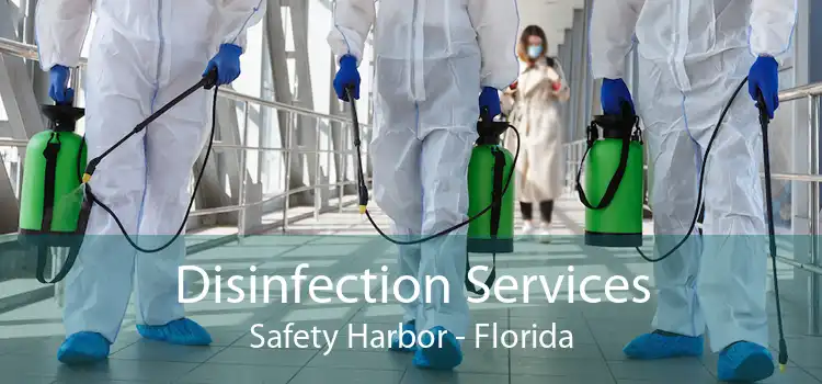 Disinfection Services Safety Harbor - Florida
