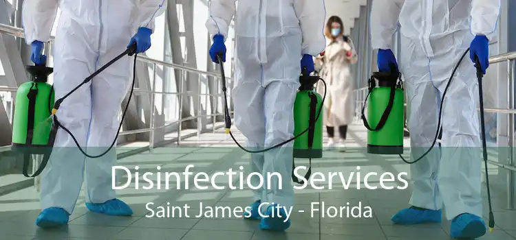 Disinfection Services Saint James City - Florida