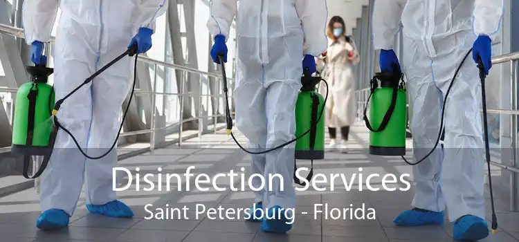 Disinfection Services Saint Petersburg - Florida