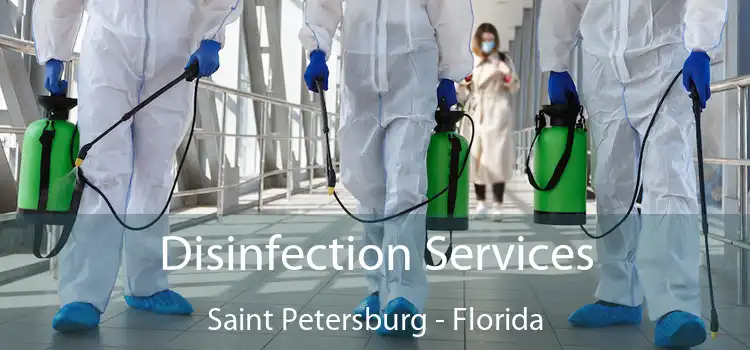 Disinfection Services Saint Petersburg - Florida