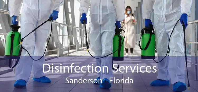 Disinfection Services Sanderson - Florida