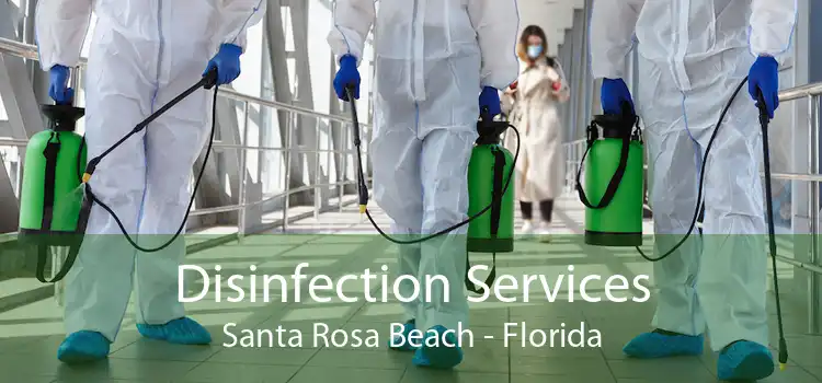 Disinfection Services Santa Rosa Beach - Florida