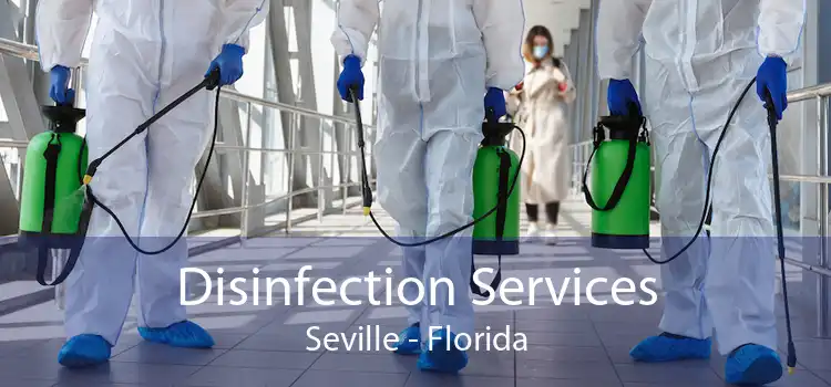 Disinfection Services Seville - Florida
